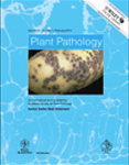 Paper PatologÃ­a de plantas