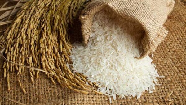 Enfermedades controladas por T34 Biocontrol para arroz. Fusarium spp. Sclerotinia spp. Rhizoctonia spp. Phytophtora spp. Pythium spp.