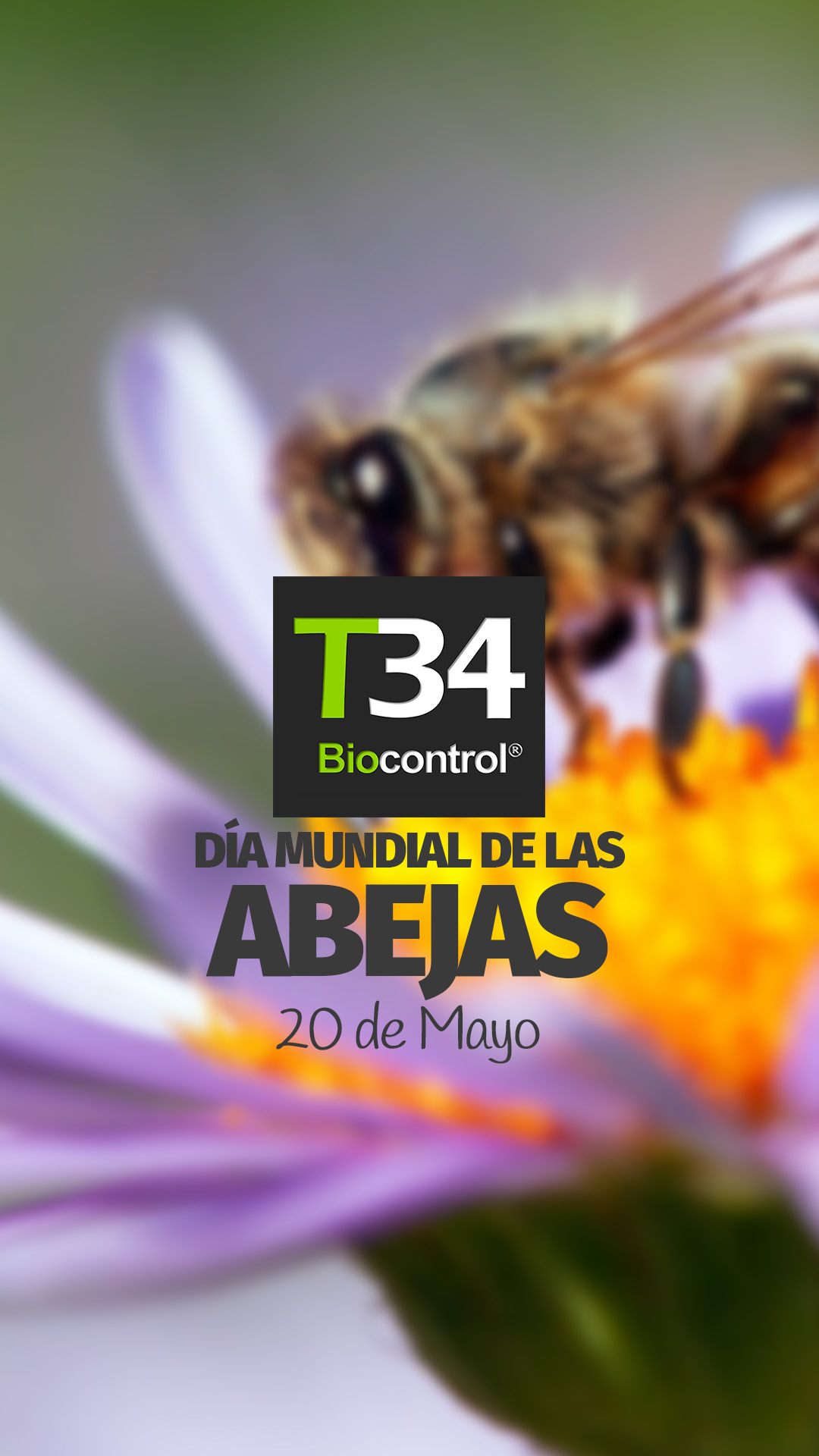 DIAMUNDIAL_ABEJAS_001