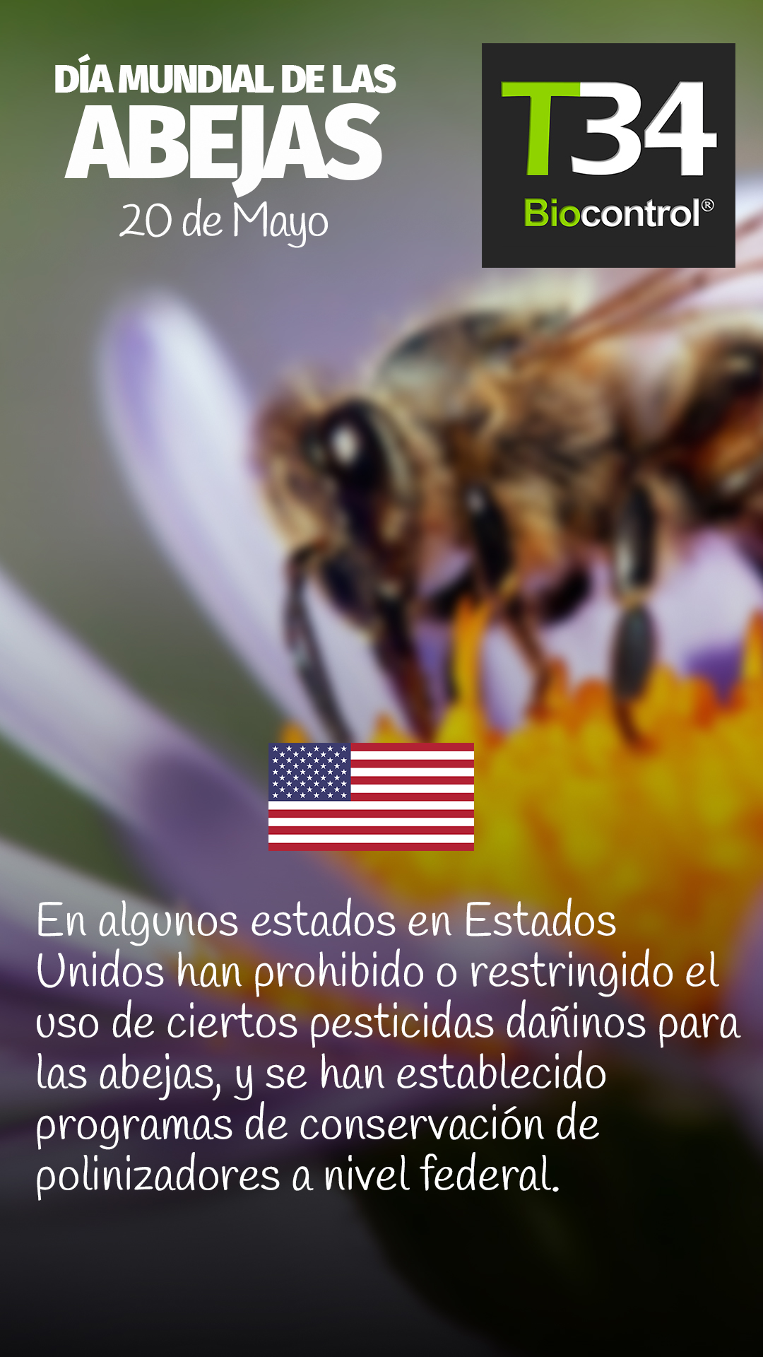 DIAMUNDIAL_ABEJAS_008