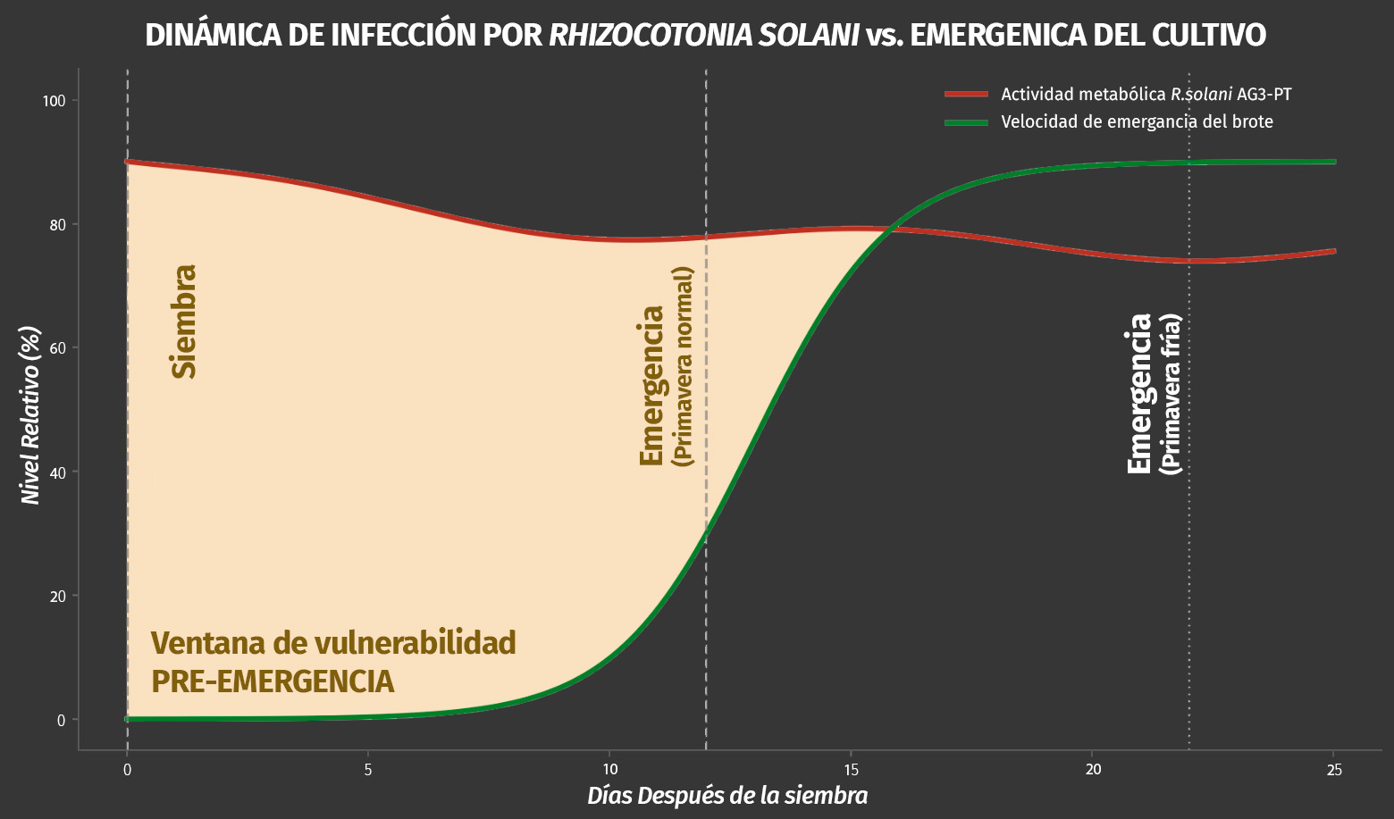 Gráfico de la actividad de Rhizoctonia solani y la emergencia del cultivo de patata tras la siembra